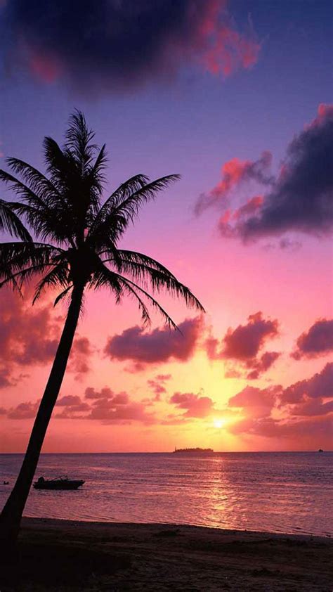 Sunset Beach Wallpaper By Emadmathers 32 Free On Zedge