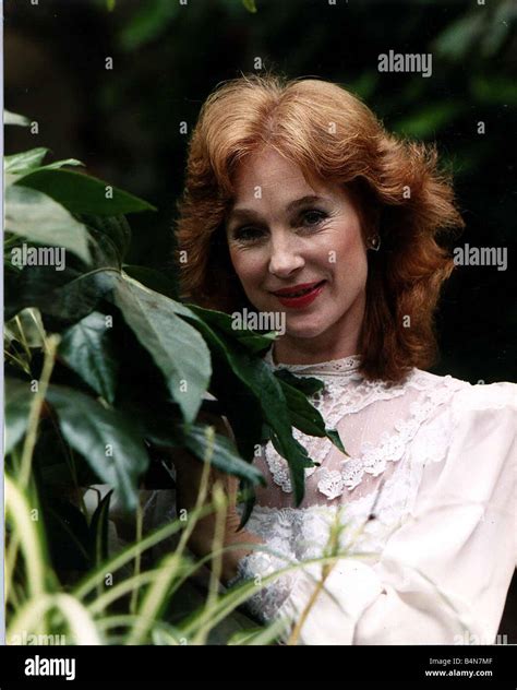 Shirley Anne Field Actress November 1988 Stock Photo Alamy