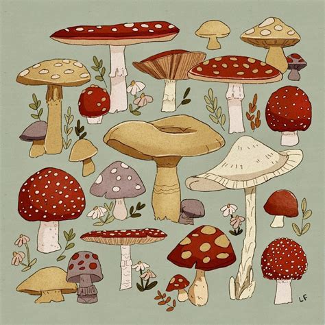 Pin By Melissa Flowers On Wall Mushroom Art Mushroom Drawing Cute Art