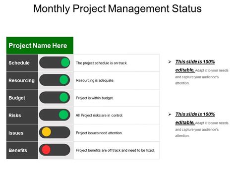 Monthly Project Management Status Example Of Ppt Powerpoint Slide