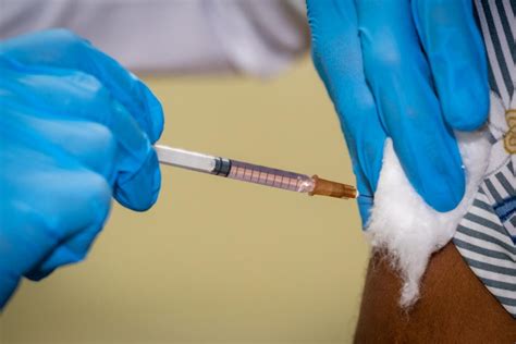 Coronav Rus Ufrj Incentiva Vacina O Contra A Influenza Conex O Ufrj