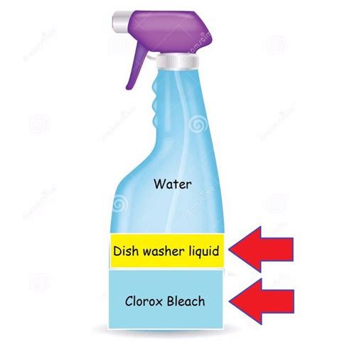 What to do after pest control sprays. Pin on Pest & Nuisance Control