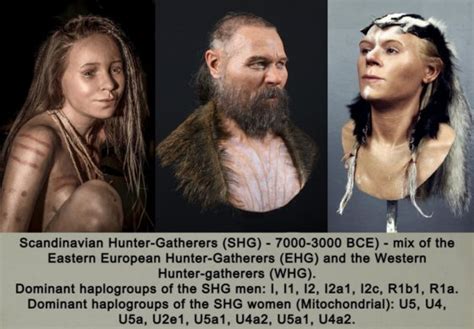 სკანდინავიელი მონადირე შემგროვებლები Scandinavian Hunter Gatherers Shg