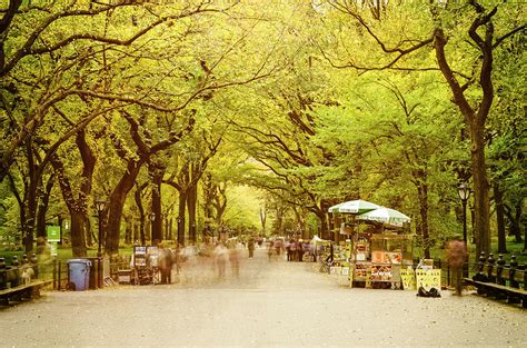 Bethesda fountain terrace is one of the park's most iconic locations. The Mall in Central Park New York City Fall Foliage Photograph by Silvio Ligutti