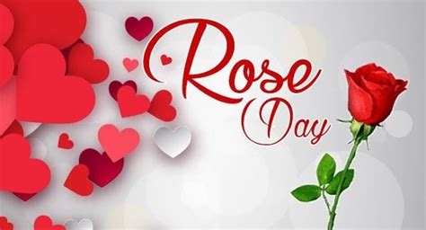 210 Rose Day Images Pictures Photos Page 2