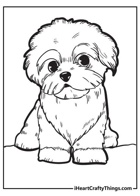 Puppy Coloring Pages Updated 2022