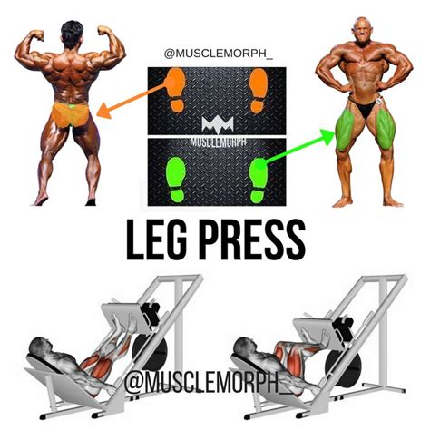 Leg Press Muscles Worked Leg Press Calf Presses Leg Press Is Seated Uses