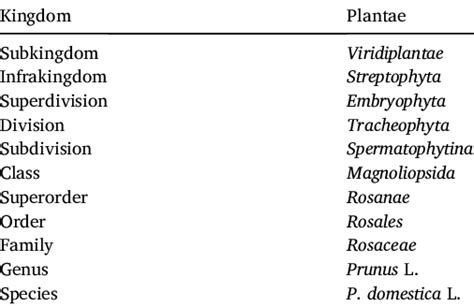 P Domestica European Plum Taxonomy Table Download Scientific Diagram