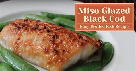 Miso Glazed Black Cod Easy Broiled Fish Recipe Recipe World