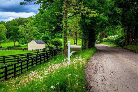Country Road Through The Green Forest Spring Holiday Beautiful