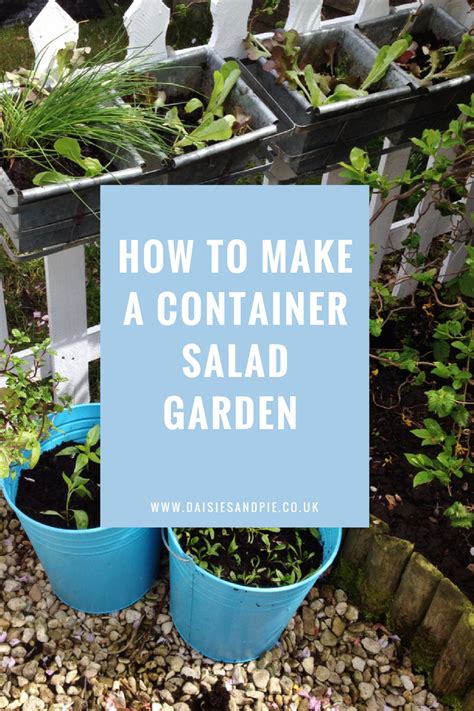 How To Make A Simple Container Salad Garden Home Grown Salad Veg