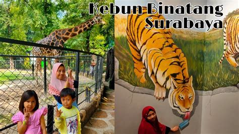 Roni merespons foto viral di media sosial yang mencuat dengan informasi mengenai kondisi kebun binatang mini. Serunya Bermain di Kebun Binatang Surabaya (KBS) - YouTube