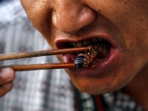 To Save The Planet You Should Be Eating Insects Experts Say Cantech