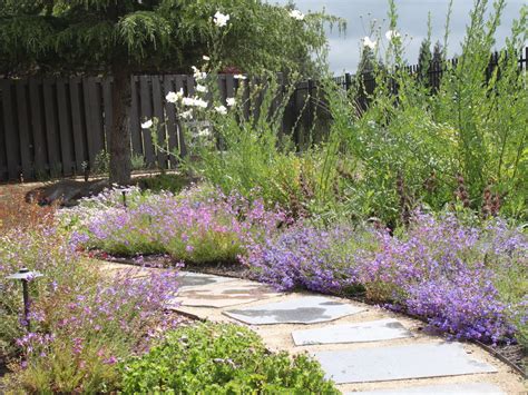 We did not find results for: Benefits of California Native Plants - California Native ...
