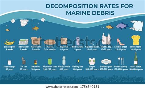 Decomposition Rates Marine Debris How Long Stock Vector Royalty Free
