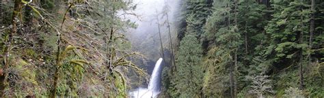 Eagle Creek To Punchbowl Falls 2263 Reviews Map Oregon Alltrails