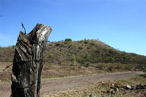 Hyrax 1 Hyrax Hill Pre Historic Site In Nakuru Kenya Demosh Flickr