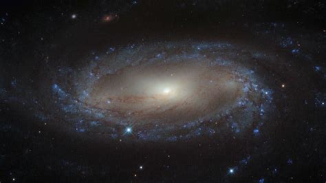 The new type of dark matter is different from previous theories, which suggest the exotic, invisible particles may be made up of weakling interacting massive particles, or wimps. Dark Matter Makes Up a Quarter of the Universe, But What ...