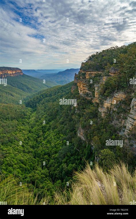 Hiking The Overcliff Walk In The Blue Mountains National Park New