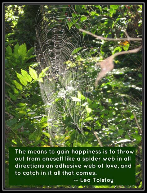 Quotes About Spider Webs Quotesgram