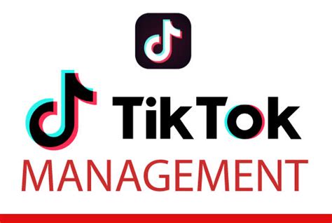 Grow Your Tik Tok Account Organically And Manually By Techie617