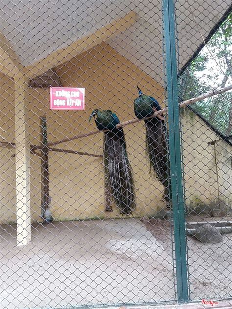 Công an đồng nai tìm nạn nhân của công ty bất động sản thiên hưng khang. Công Viên Thủ Lệ ở Quận Ba Đình, Hà Nội | Foody.vn