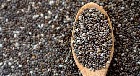 Chia seeds come from the plant salvia hispanica l., and were at one time a major food crop in according to industry reports, the chia seed market is projected to reach more than 2 billion usd in rt @harvardchansph: The Amazing Chia Seed - Virtual Health Partners