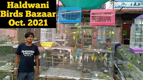 Parinda Bazaar Haldwani Nainital Uttarakhand October 2021