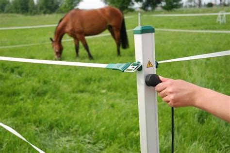 Portable Fence Horse Trail Riders See Roflexs A Mobileportable