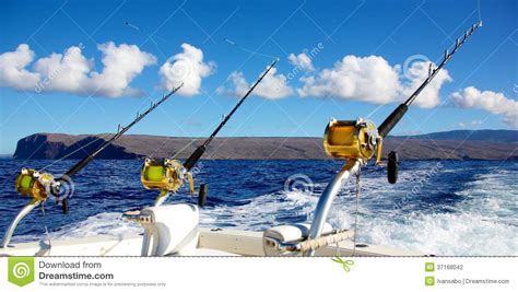 Trolling For Big Game Stock Photo Image Of Fish Seascape