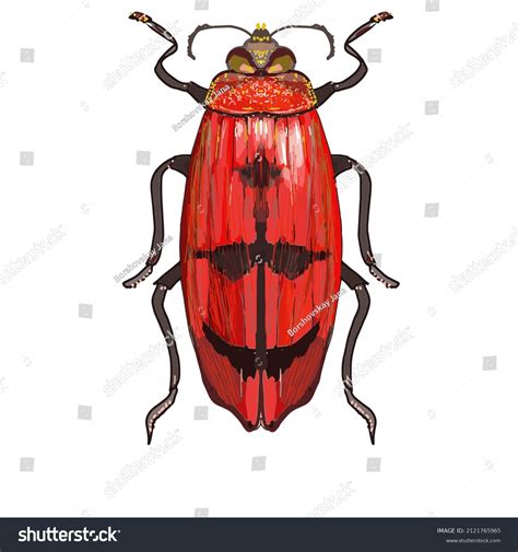 Large Red Beetle Black Dots Macro Stock Illustration 2121765965