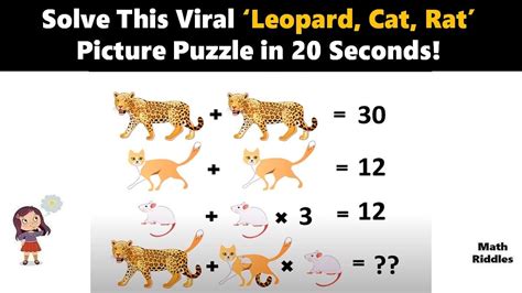 Math Riddles Can You Solve This Viral ‘leopard Cat Rat Picture