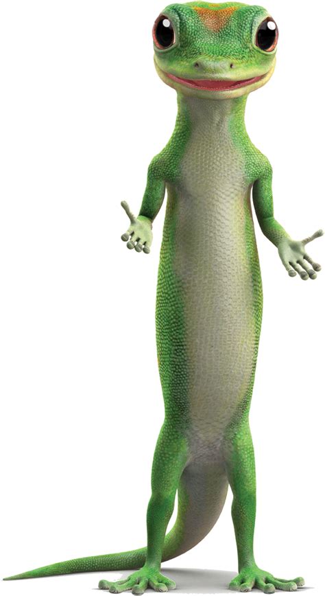Geico Png Photos Png Mart