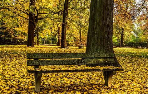 Park Bench Wallpapers Wallpaper Cave