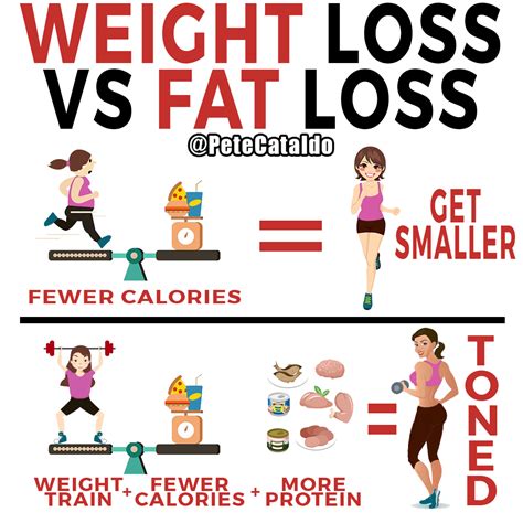 Weight Loss Vs Fat Loss Weight Loss Workout Plan For