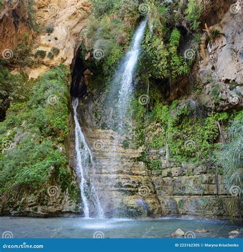 David Waterfall In Rocks Ein Gedi Israel Stock Image Image Of