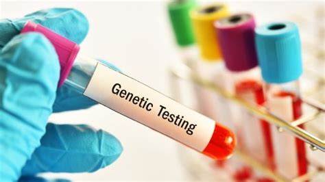 Genetic Testing Role Purpose Types Results Gunjan Ivf World