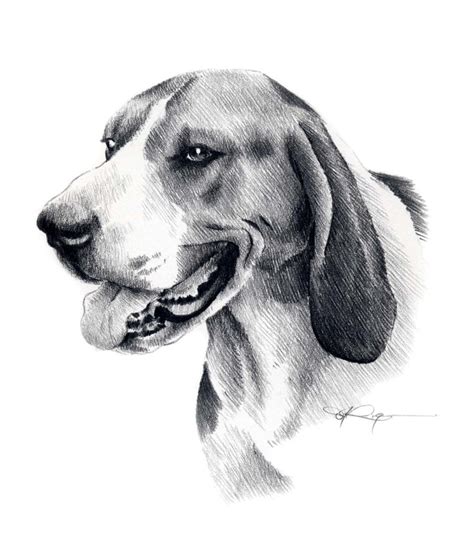 Used when describing someone that is sinister and. Treeing Walker Coonhound Dog Pencil Drawing Art Print Signed