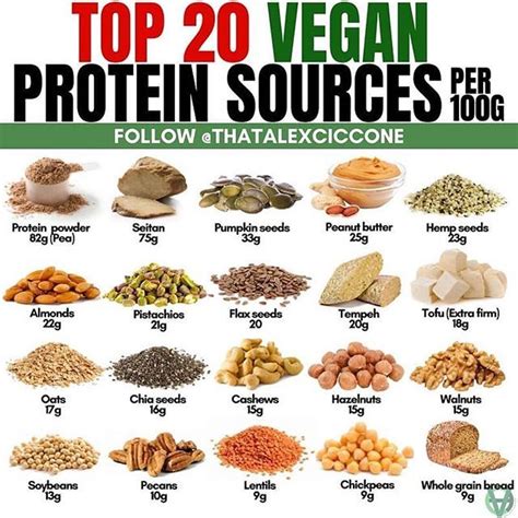15 Amazing Vegetarian Food High In Protein Easy Recipes To Make At Home