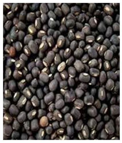 Indian Organic Urad Dal Black Gram 1 Kg At Rs 150kg In Amravati Id