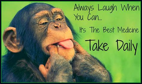 Each time we laugh we feel better and more content.' Laughter is The Best Medicine ~ Best Stories