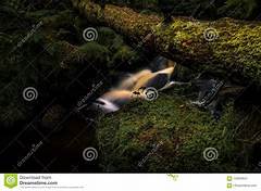 Unraveling The Secrets Of Ntb Brook Rd A Hidden Gem In Natures Embrace