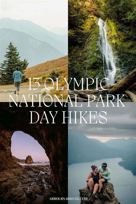 13 Day Hikes In Olympic National Park Arboursabroad Travel Guide