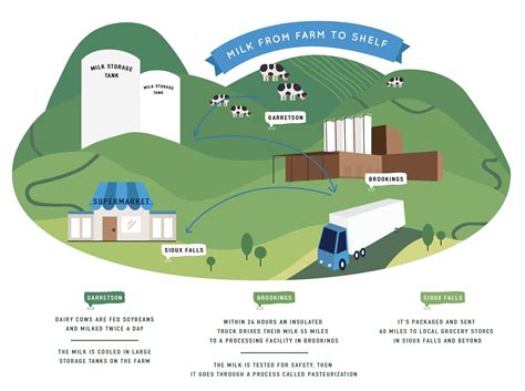 Milk’s Journey from Farm to Shelf | Hungry for Truth