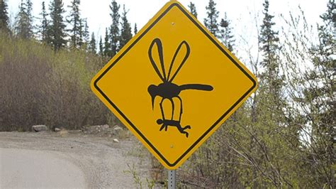 Road Signs Of Alaska Mental Floss