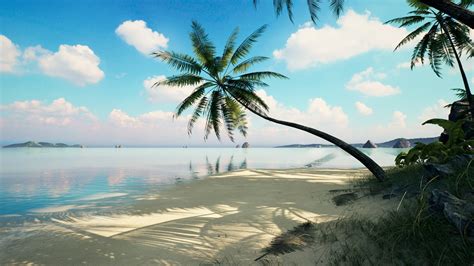 Brushify Tropical Pack In Environments Ue Marketplace