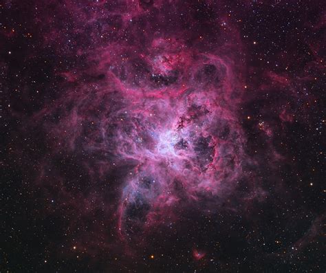 This transient astronomical event occurs during the last evolutionary stages of a massive star or when a white dwarf is triggered into runaway nuclear fusion. Supernova 1987A - Weltraumbild des Tages