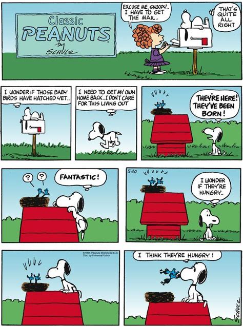 Today On Peanuts Comics By Charles Schulz Snoopy Funny Snoopy