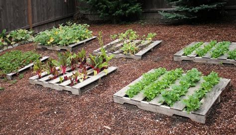 Pallet Vegetable Garden Pallet Ideas