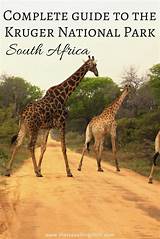 Images of Kruger Park In South Africa